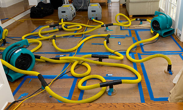 Professional Storm Water Damage Restoration technician working in Butler, NJ